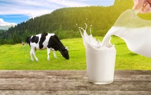 organic milk delivery