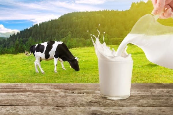 Organic Milk Delivery - McQueens Dairies