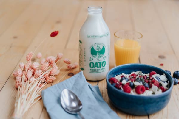 Oat milk in glass bottles