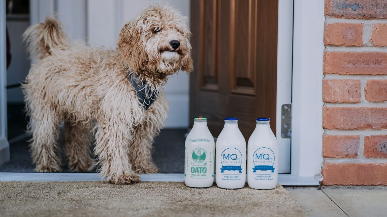 McQueens Dairies deliver Oato milk alternative in glass bottles