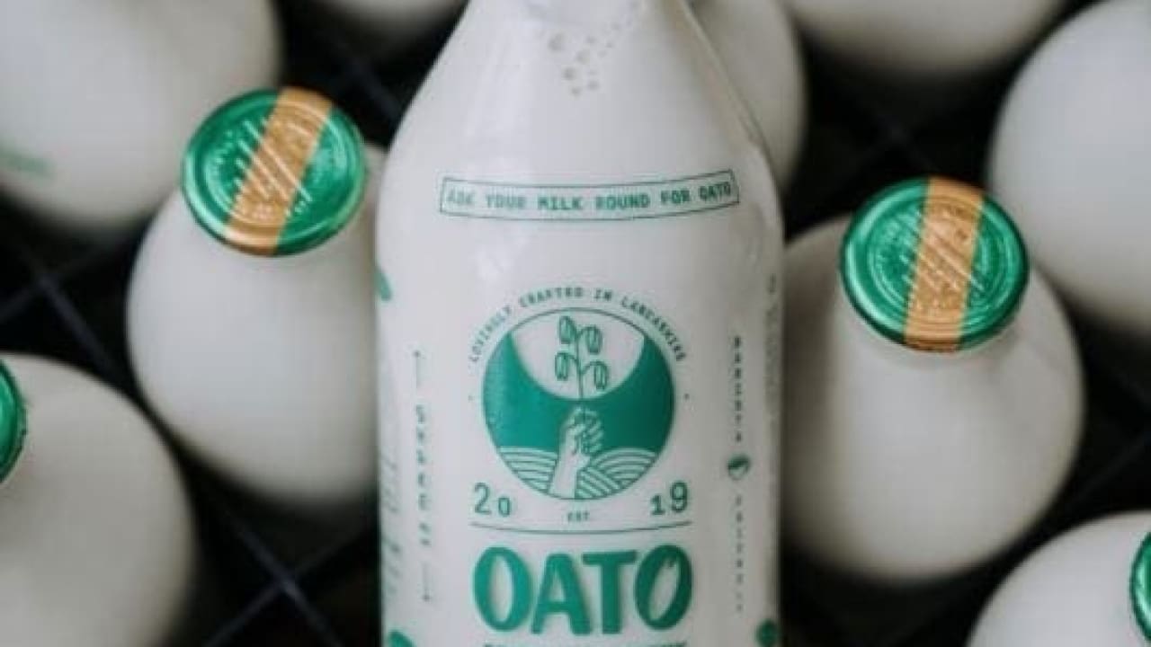 Plant Milks