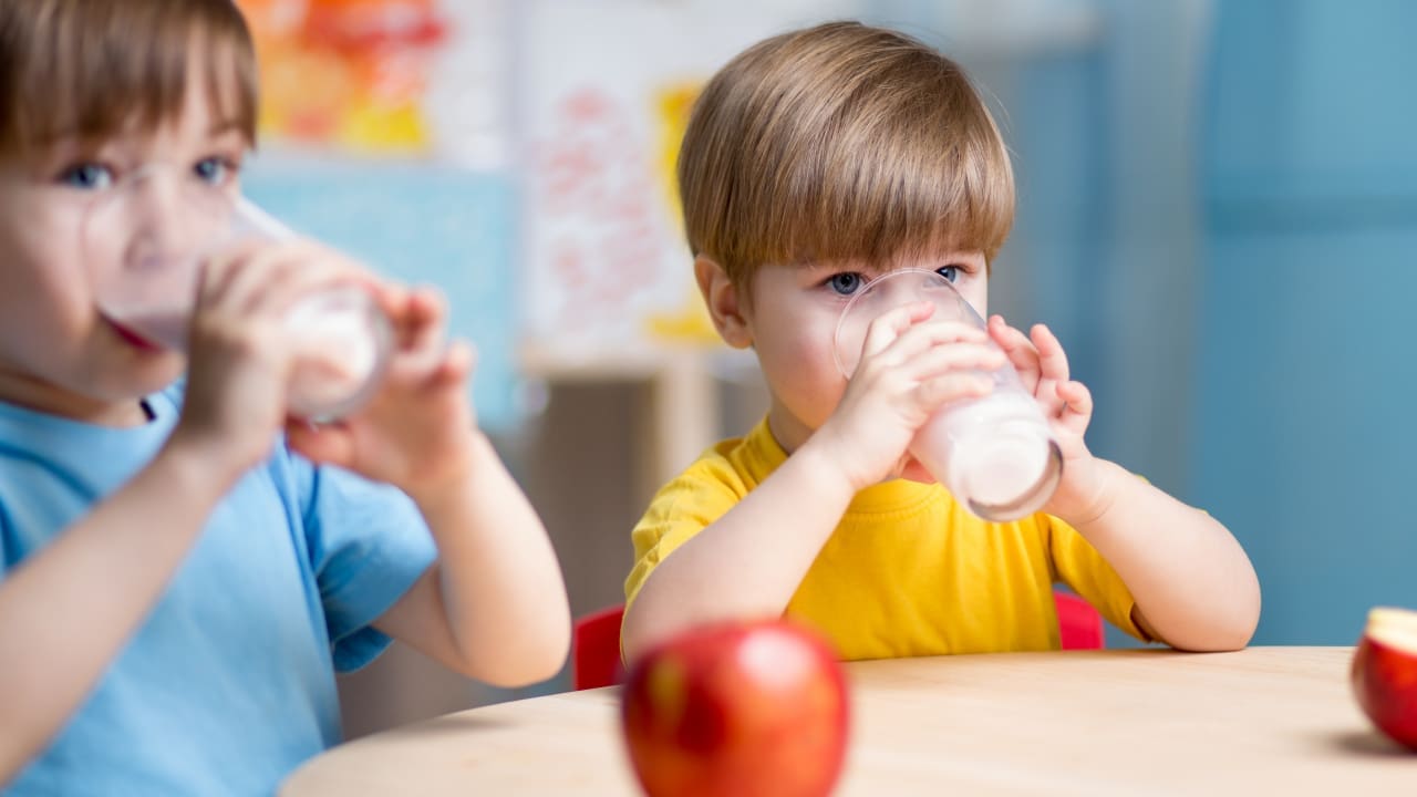 The Government Nursery Milk Scheme Explained