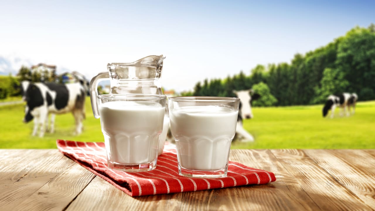 Could cow’s milk provide some passive immunity against COVID-19?