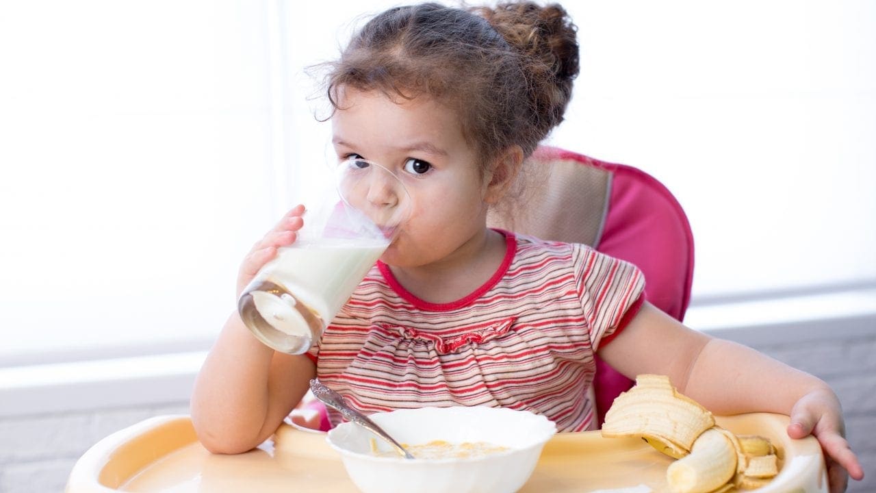 The Best Lactose Free Milk for Babies and Children