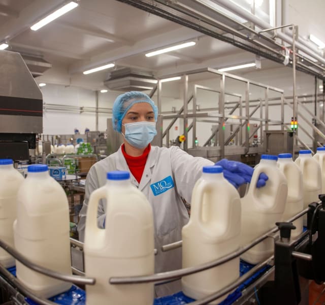 McQueens Dairies Jobs