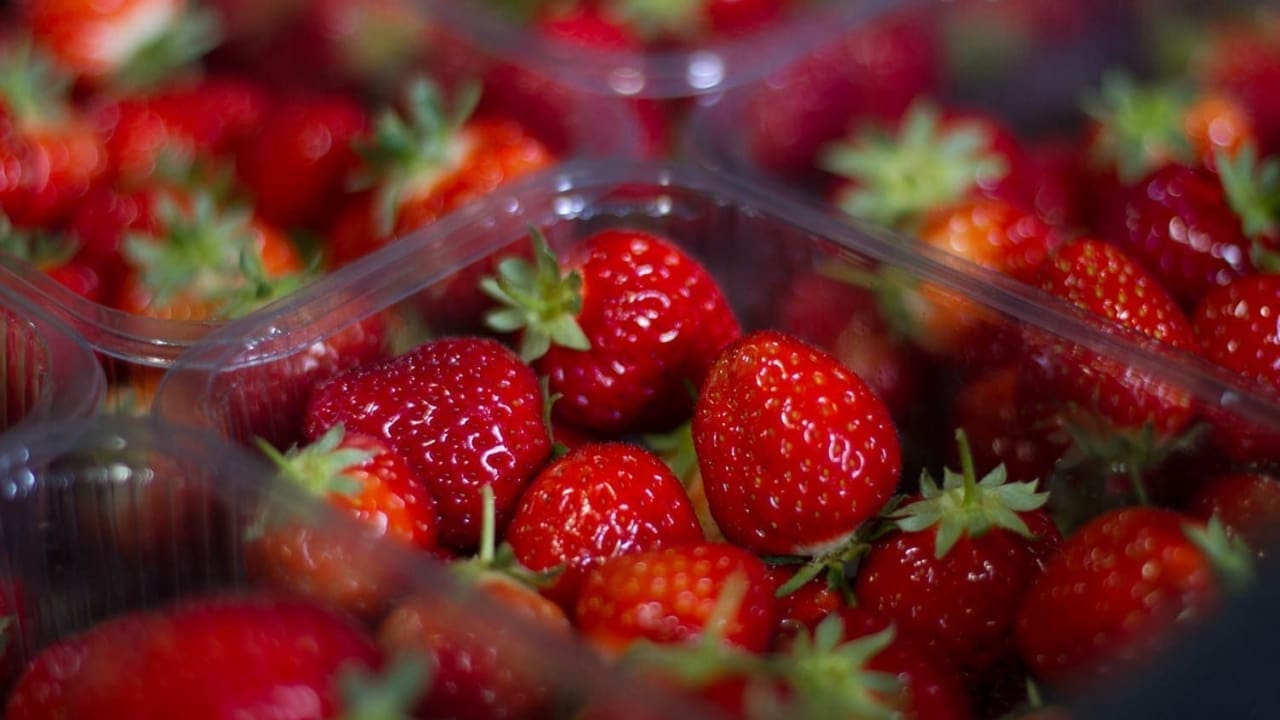 Strawberry surprise with McQueens Dairies and AVA Berries