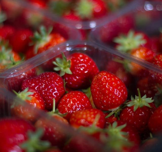 AVA Berries Free Strawberries