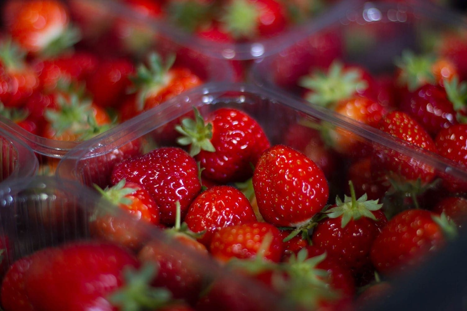AVA Berries Free Strawberries