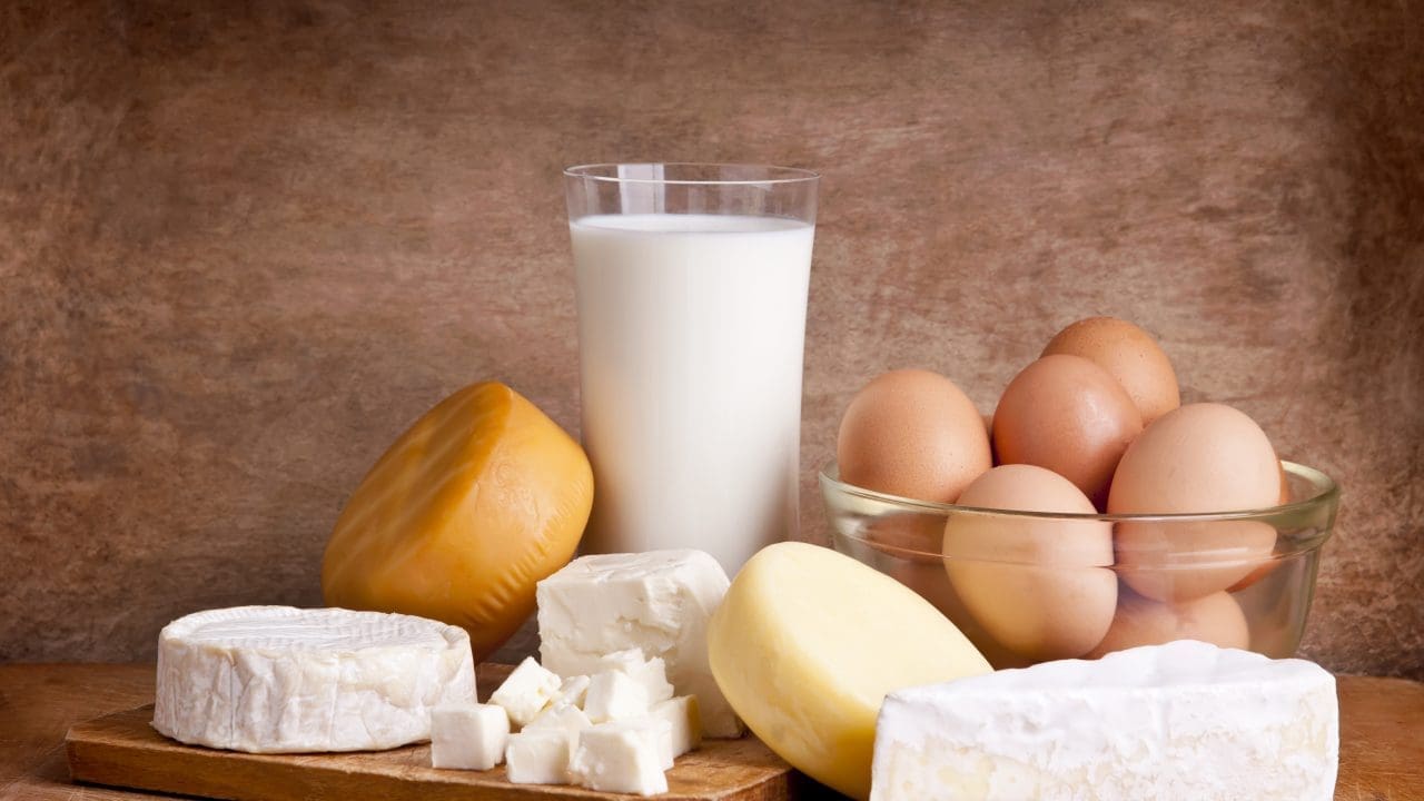 Best Sources of Protein